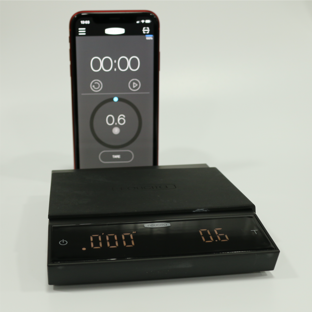 Felicita Incline Scales