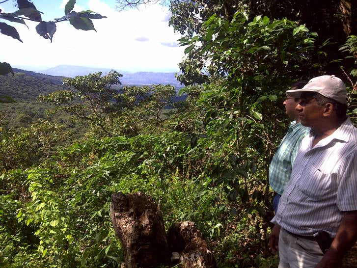 Finca Lorena, El Salvador