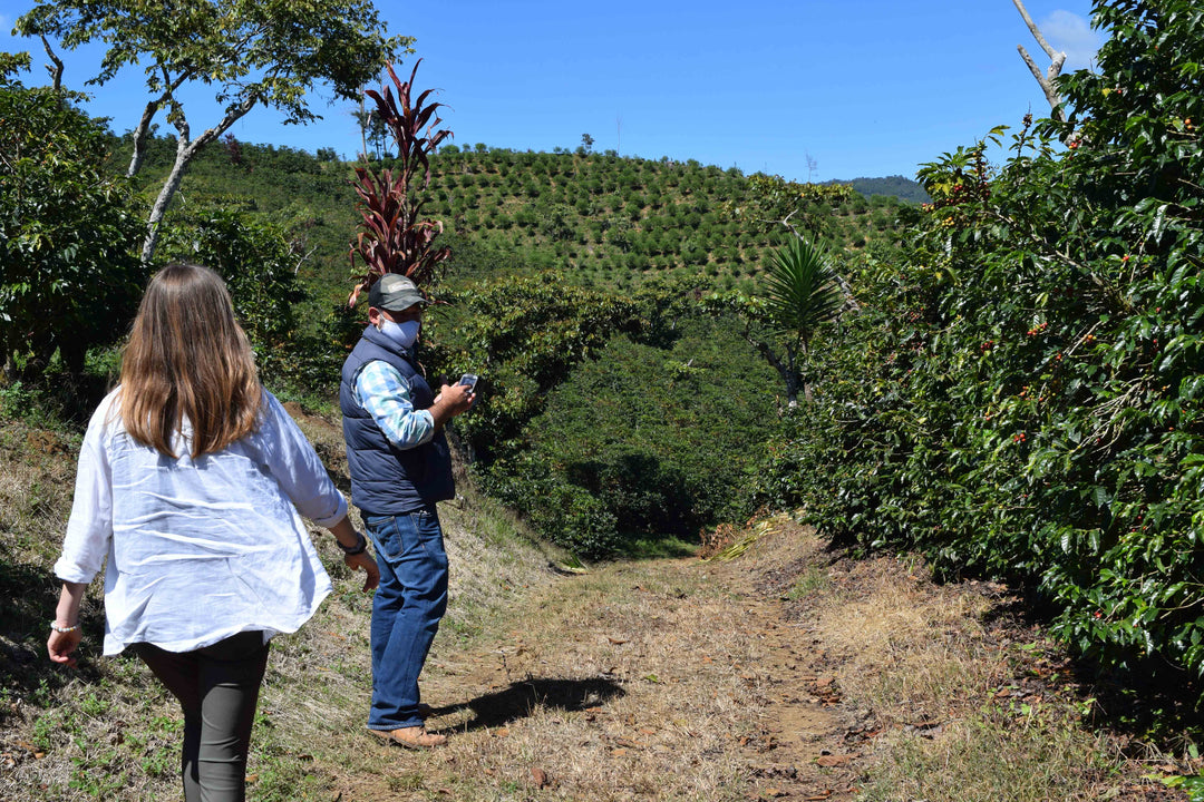 Coffee farmers at Finca San Lorenzo