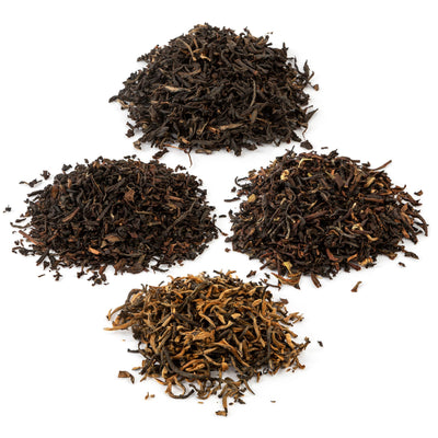 The Black Tea Collection