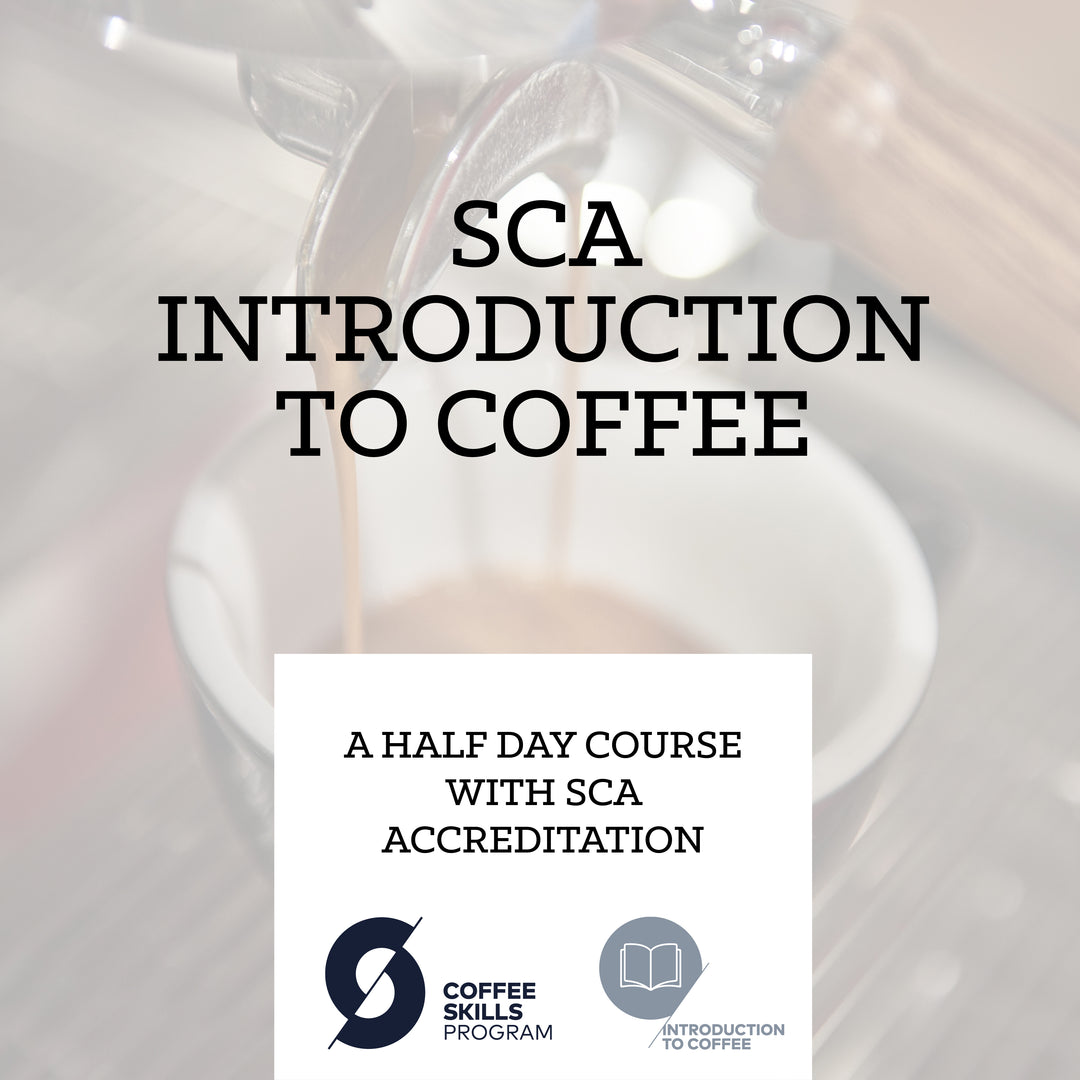 SCA Introduction to Coffee